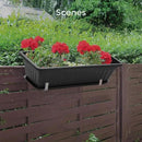 GROWNEER 3 Packs 17 Inches Black Flower Window Box Plastic Vegetable Planters Long Pots with 15 Pcs Plant Labels for Outdoor Indoor Windowsill Patio Garden Home Decor Porch by GreenHaven Gardens