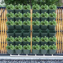 Vertical Wall Planter, Self-Watering Vertical Garden Planter Set with 36 Pots, Stackable Planters Grow Pots with Electronic Timer for Growing Veggies, Fruits, Herbs, Flowers. by CozyNest Decor