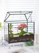 Handmade Glass Planter Terrarium with Lid, Indoor Tabletop Centerpiece Display Box Modern Decor DIY Gift Plant Terrarium Container for Succulent Cacti Air Plants Flower (Black) by CozyNest Decor