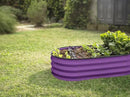 Galvanized Raised Garden Beds Outdoor // 4×2×1 ft Planter Raised Beds for Gardening, Vegetables, Flowers (Purple) // Large Metal Garden Box by GreenHaven Gardens