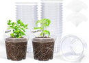 homenote Clear Nursery Pots for Plants,4 Inch Plant Pot for Planting Plastic Seedling with Drainage Holes Seed Starter Flower High Transparency with 20 Labels (30 Pack) by GreenHaven Gardens