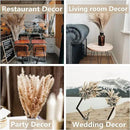125 PCS Dried Pampas Grass Bouquet, Boho Table Decor, Bunny Tails Dried Flowers, Brown Pampas, White Pampas Grass for Weddings, Home Decor, Rustic Parties, and Baby Shower Decorations by CozyNest Decor