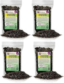 Premium Spider Plant Potting Soil Mix (4 Bags of 5 Quart) by GreenHaven Gardens