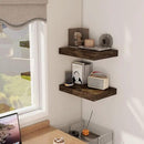 12 Inch Deep Floating Shelves, 16 x 12 Floating Shelf for Books, Rustic Wood Deep Wall Shelves for Home Storage & Display, 2" Thicked Shelves for Kitchen, Living Room, Bedroom, Rustic Brown, 2 Pack by CozyNest Decor