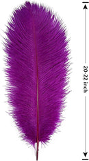 THARAHT Purple Ostrich Feathers 12pcs Large Natural Bulk 20-22Inch 50cm-55cm for Wedding Party Centerpieces Easter Gatsbi and Decoration Feather by CozyNest Decor