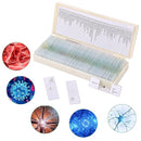 60 Pieces Prepared Microscope Slide Set with Specimens, Plant Animal Cell Science Education Microscope Slides for Bioscience Labs by TinyTreasures Baby Boutique