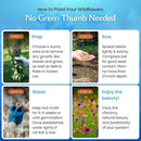 Created By Nature Bee & Butterfly Wildflower Seed Mix, 16 Varieties, 30,000 Seeds by GreenHaven Gardens