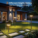 LETMY Solar Pathway Lights Outdoor, 6 Pack 2X Brighter Solar Lights Outdoor Waterproof, Taller Pathway Light with Larger Panel, Auto On/Off Up to 12Hrs Driveway Light for Yard Outside Patio Path Lawn by CozyNest Decor