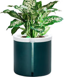 D'vine Dev 8 Inch Design Self Watering Planter for Indoor Plants, White Terracotta Pot with Teal Cylinder Glass Cup, 37-X-C-5 by GreenHaven Gardens