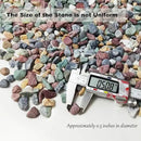 15LB Succulents Rocks for Plants Cactus Gravel Pebbles for Fish Tank 1/2 Inch Natural River Rocks for Vase, Aquarium, Landscaping,Bonsai,Terrarium Pebbles, Mixed Color by GreenHaven Gardens