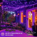 JMEXSUSS 2 Pack Purple Solar Halloween Lights Outdoor, 66ft 200 LED Solar Fairy Lights Outdoor Waterproof, 8 Modes Solar String Lights for Outside Halloween Christmas Decorations by GreenHaven Gardens