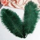 THARAHT Blackish Green Ostrich Feathers 12pcs Large Natural Bulk 12-14Inch 30cm-35cm for Wedding Party Centerpieces Mardi Gras Decoration Feather by CozyNest Decor