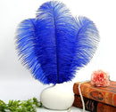 THARAHT Blue Ostrich Feathers 12pcs Large Natural Bulk 14-16Inch 35cm-40cm for Wedding Party Centerpieces Halloween and Home Decoration Feathers by CozyNest Decor