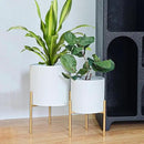 ARNIS Modern Planter Pots, Set of 2 Round Large Planters with Stand, Decorative Floor Planters, Metal Pots with Drainage Holes for Living Room, Office, Garden or Balcony, 8.25 &10.5 Inch, White & Gold by CozyNest Decor