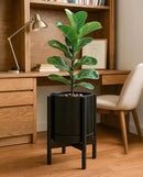 D'vine Dev Ceramic Planter with Ebony Stand - 10 Inch Modern Round Flower Pot with Wood Planter Holder, Black, 55-B-L-2 by GreenHaven Gardens