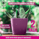GARDENIX DECOR 5" Self Watering pots for Indoor Plants - Flower Pot with Water Level Indicator for Plants, Grow Tracking Tool - Self Watering Planter Plant Pot – 2 Pack Purple by GreenHaven Gardens