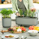 Vego Garden Herb Indoor Plant Box, Self Watering Planters Pots for Indoor Plants with Trellis for Kitchen Window Sill or Countertop Plants Cage - Fog Gray by GreenHaven Gardens
