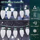 C9 LED Christmas Lights, 34FT 50 Bulbs Outdoor Christmas Decorations for House Waterproof String Lights Extendable Green Wire Fairy Lights for Patio Xmas Garden Party Wedding Holiday Indoor Pure White by GreenHaven Gardens