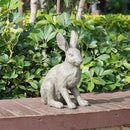 DiliComing Grey Resin Rabbit Garden Statue - Large Garden Statues for Home Yard Decor Garden Statues for Outside Balcony Bunny Decor for Garden Gifts 9 × 5 × 12 Inch by CozyNest Decor