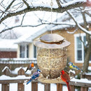 Bird Feeder for Outdoors, Funnel Style Wild Finch Feeders for Outside Hanging Courtyard Bird Watching, Metal Birdfeeder with Lid Fixing Buckle, 3Lbs Capacity by CozyNest Decor
