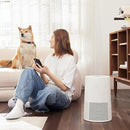 Amazon Basics Air Purifier Replacement 3-In-1 Filter for Amazon Basics Air Purifier B0CL993435 (NOT for other models), Covers Up to 1067 Sq Ft, 1 Pack by CozyNest Decor