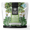 Big Green Leaves | Superfood Houseplant Fertilizer, Indoor Plants - Water Soluble Plant Food + Organic Kelp | 4X More Concentrated | 12-4-8 NPK (1LB) by GreenHaven Gardens