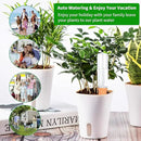 Plant Self Watering Stakes 12 Pack Terracotta Watering Spikes for Indoor and Outdoor Plants,Wine Bottle Plant Watering Devices, Automatic Plant Waterers for Vacation by GreenHaven Gardens