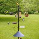 Bird Feeding Station Kit with Squirrel Baffle Bird Feeder Pole with Suet Cage Mesh Tray Fruit Hook Double W Hook for Attracting Wild Birds and Hanging Planter Hanger Lights by GreenHaven Gardens