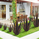 Large Tequila Rustic Sculpture, Rustic Metal Agave Plants for Outdoor Patio Yard, Home Decor Hand Painted Metal Agave Garden Yard Statue, Outdoor Lawn Ornaments Yard Stakes (Black -L) by CozyNest Decor