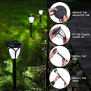 HECARIM Solar Lights Outdoor, 10 Pack Solar Pathway Lights, Solar Powered Garden Lights, Waterproof LED Solar Landscape Lights for Walkway, Pathway, Lawn, Yard and Driveway… by GreenHaven Gardens
