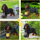 Afirst Solar Dog Statue Garden Decor- Outdoor Decor with Solar Lantern Lovely American Cocker Spaniel Figurine Patio Lawn Yard Art Ornaments Housewarming Gift by GreenHaven Gardens
