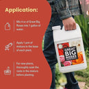 Great Big Roses – Soil and Rose Fertilizer Booster to Grow The Best Roses and Flowers; Rose Food Compost Extract for Rose Bush, 1 Gallon Concentrate (Makes 32 Gallons) by GreenHaven Gardens