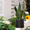 6 + 8 Inch Plant Pots, Ceramic Planter Pot with Drainage Hole & Saucer, Indoor/Outdoor Cylinder Round Planter Pot, Matte Black by GreenHaven Gardens