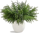 WeGuard 32 Pcs Real Touch Artificial Norfolk Pine Branches, 18 Inches Faux Cedar Pine Stem Fake Christmas Greenery Picks for Vase DIY Garland Wreath Christmas Decor Home Decor by CozyNest Decor