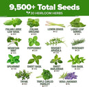 HOME GROWN 30 Herb Seeds for Planting 9,500+ Non-GMO Heirloom Seeds | Extra Large Variety Pack Herb Kit – Indoor Outdoor & Hydroponic | Culinary Seed Set | Grow Your Own Herbs | Gardening Gift by GreenHaven Gardens