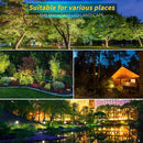 LED Landscape Lights,5W 120V AC Outdoor Pathway Garden Yard Spotlight,IP65 Waterproof Garden Flood Light,Outdoor Spotlight with Stake,UL Cord 5-ft with Plug (Pack of 4, Warm White) by GreenHaven Gardens