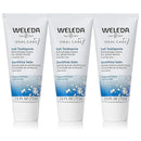 Weleda Natural Salt Toothpaste. 2.5 Fluid Ounce (Pack of 3) by CozyNest Decor