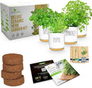 Deluxe Ceramic Indoor Herb Kit 4 Set. Variety Herbs for Indoor & Outdoor – Get Growing with Pots, Potting Soil for Window Herb Garden. (Ceramic Edition) by GreenHaven Gardens