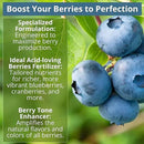 8-4-8 Acidic Fertilizer for Azaleas, Camellias (Camelia), Hydrangeas, Blueberries, Gardenias, Magnolia Trees, Evergreens, and Rhododendrons - Ideal Iron-Rich Plant Food (12 OZ) by GreenHaven Gardens
