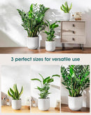 vancasso 6+8+10 inches Ceramic Plant Pots, Set of 3, Planters with Drainage Hole, Flower Pots Planters Pots for Indoor Plants, Modern Indoor Decorative Garden Pot, Home Decor, White by GreenHaven Gardens
