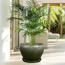 10 Inch Planter Pot - Ceramic Pots for Plants with Drainage Hole and Saucer, Round Large Flower Pot for Indoor Plants, Dark Green by GreenHaven Gardens