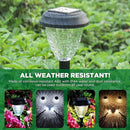 Super Bright Solar Lights, Waterproof 10 Pack, Dusk to Dawn Up to 12 Hrs Solar Powered Outdoor Pathway Garden Lights Auto On/Off, LED Landscape Lighting Decorative for Walkway Patio Yard by GreenHaven Gardens