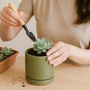 D'vine Dev Set of 2 Plants Pots, 3.5 Inch Ceramic Planter Pot for Plants with Drainage Hole and Saucer, Olive, 94-V-A-J by GreenHaven Gardens