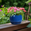 G EPGardening 6 Inch Plant Pot - Round Ceramic Planter Indoor with Drainage and Ceramic Saucer for Flower, Modern Desk Decor, Modern Garden Gift, Blue by GreenHaven Gardens