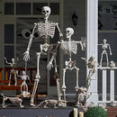 JOYIN 6.9 FT Halloween Skeleton Posable Plastic Full Body Realistic Human Bones with Movable Joints for Indoor Outdoor Halloween Props Spooky Scene Party Decorations（Yellow,No Screwdriver） by GreenHaven Gardens