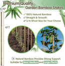 Bamboo Stakes,4FT Natural Bamboo Garden Stakes,BOVITRO 25Pcs Bamboo Plant Stakes,Bamboo Sticks for Tomato,Beans,Vegetable and Climbing Plants by GreenHaven Gardens