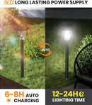 AOSEA 2 Pack Solar Outdoor Lights, IP 65 Waterproof Solar Powered Driveway Lights, Auto On/Off Path Landscape Lighting for Yard, Patio, Landscape, Pathway, Cool White by GreenHaven Gardens