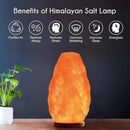 Himalayan Glow Salt Lamp with Dimmer Switch 5-7 lbs by CozyNest Decor