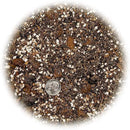 Premium Spider Plant Potting Soil Mix - (1 Quart Bag) by GreenHaven Gardens