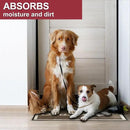Floor Mat - for Indoor and Outdoor Use - Doormat - Non-Slip - Front Door Shoe Scraper - Size: 17x29 by CozyNest Decor